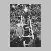 012-0014 Friederikenruh. Kurt und Rudi Schoen auf der Leiter am Apfelbaum im Jahre 1941.jpg